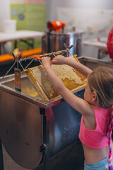 Girl Use beekeeping tools to open wax cells filled with the finished product.