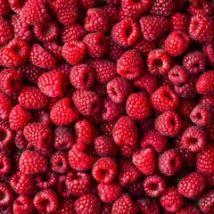 Raspberry berries texture background, Rubus idaeus fruits pattern, many red-fruited raspberries mockup