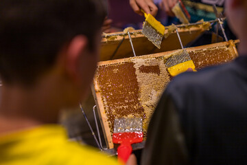 Children Use beekeeping tools to open wax cells filled with the finished product.