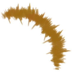 feather isolated on white background