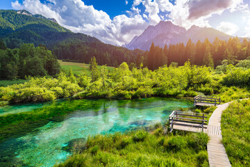 Wonderful view of Zelenci nature reserve in Slovenia. Nature reserve Zelenci, Krajnska Gora,...