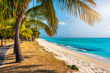 Paradise beach resort with palm trees and and tropical sea in Mauritius island. Summer vacation and tropical beach concept. Sandy beach with Le Morne beach on Mauritius island. Tropical landscape.