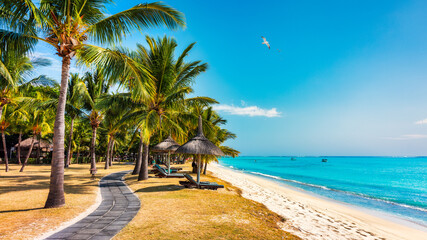 Palm trees on the tropical Le Morne beach, Mauritius. Tropical vacation background concept on Le...