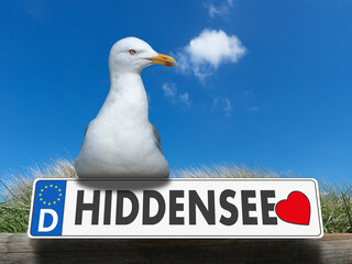 Liebe Ostseeinsel Hiddensee, Autonummernschild mit Herz