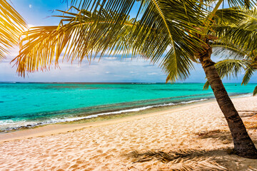 Palm trees on the tropical Le Morne beach, Mauritius. Tropical vacation background concept on Le Morne beach, Mauritius. Paradise beach on Mauritius island, palm trees, white sand, azure water.