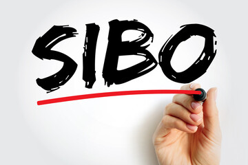 SIBO - Small Intestinal Bacterial Overgrowth is an imbalance of the microorganisms in your gut that...