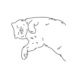 Vector isolated cat lying on back in a funny pose colorless black and white contour line easy drawing
