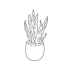 Vector isolated houseplant in a pot doodle colorless black and white contour line easy drawing