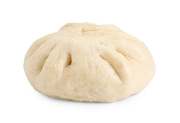 Delicious chinese steamed bun isolated on white