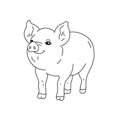 Vector isolated one single funny pig pigles colorless black and white contour line easy drawing