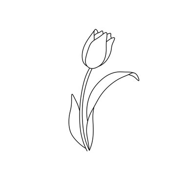 recommend clip art: Vector isolated one single simple flower tulip with leaves  colorless black and white contour line easy drawing