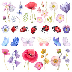 Butterfly, ladybug, ladybird, insects. Watercolor illustration. Colorful blue butterfly clipart set. Baby shower design elements. Party invitation, birthday celebration. Spring, summer decoration, art © yuliabikirova