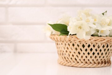 Beautiful jasmine flowers in wicker basket on white table, space for text