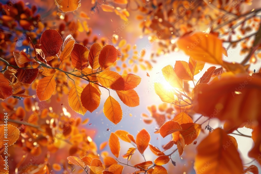 Poster a tree with leaves that are orange and yellow. the leaves are scattered throughout the tree and some