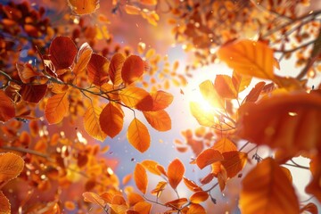 A tree with leaves that are orange and yellow. The leaves are scattered throughout the tree and some are falling. The sun is shining through the leaves, creating a warm and inviting atmosphere