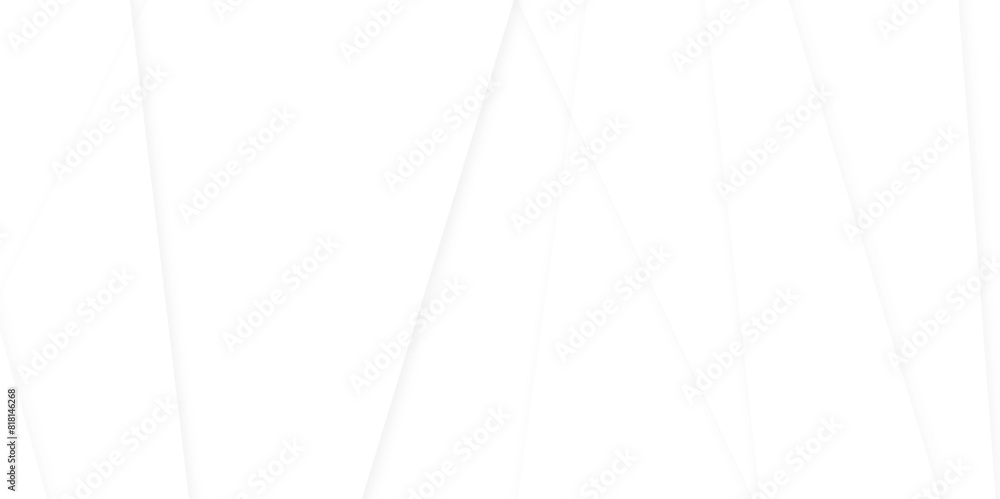 Poster abstract white and gray background with lines white background for your design. abstract modern busi