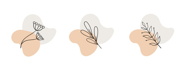 Minimalist botanical line art with abstract shapes