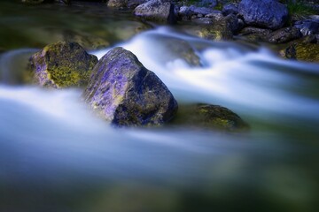 Naklejka premium Fog Over Water In Creek