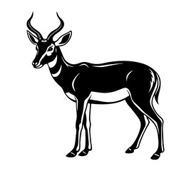 A Pronghorn Silhouette Isolated on White