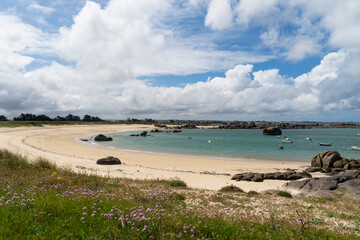 Un jour de printemps au bord de la mer avec ses eaux turquoise et ses Arméries maritimes en fleurs en Bretagne.