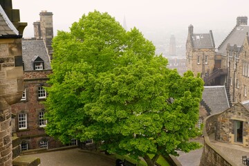 Edinburgh, Scotland In The Mist
