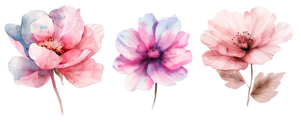 Watercolor Illustration of Wildflowers.