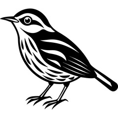 illustration of a bird