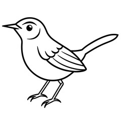 illustration of a bird
