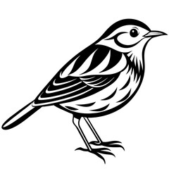illustration of a bird