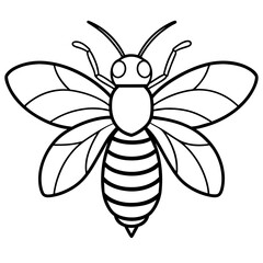 bee lineart vector illustration