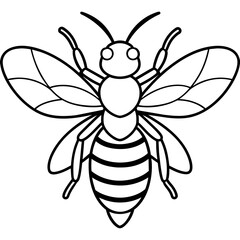 bee vector illustration