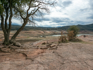 Swamp in Sau reservoir, Catalonia, Spain