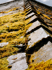 ridge tiles on a old stone slated roof with moss growth
