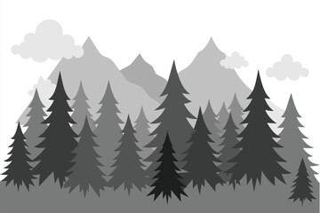 Panorama of high grey fir trees forest on white background