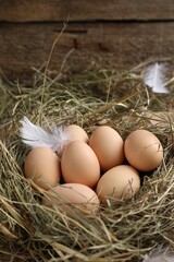 Fresh raw chicken eggs in nest on table, closeup