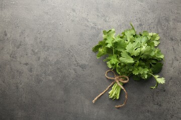 Bunch of fresh coriander on gray textured table, top view. Space for text