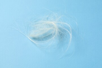 Pile of lost hair on light blue background