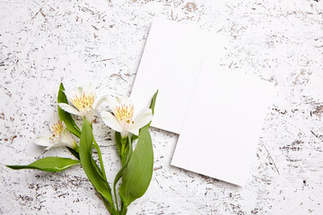 Two white blank cards positioned on a white background with dynamic black paint splatters, accented with vibrant alstroemeria flowers