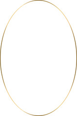 Gold Thin Frame Minimalistic Aesthetic line shape door or window. 