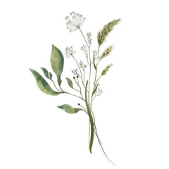 Wildflowers watercolor flowers. Bouquet of watercolor flowers. Transparent background.