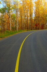 Fall Road