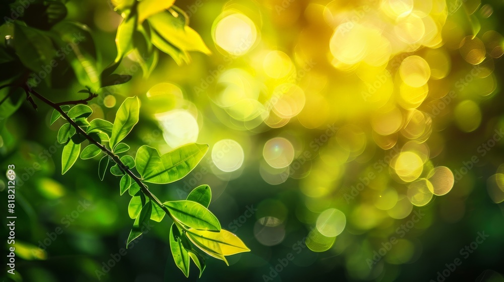 Poster lush green leaves with bright sunlight and bokeh lights, creating a vibrant and refreshing scene. id