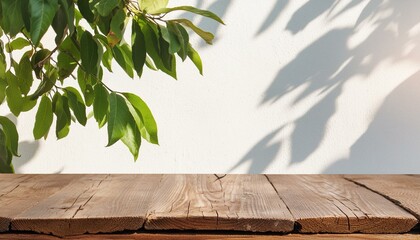 Grunge natural wooden table top with copy space for product advertising. White wall with green plant shadow