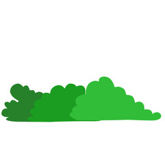 Bush vector illustration 