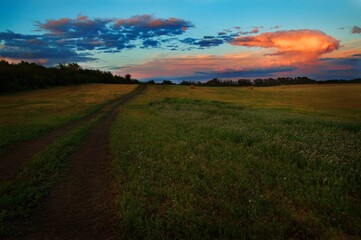 Obraz premium Country Road