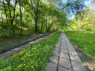 A long alley lined with concrete slabs in a green park on a sunny May day.