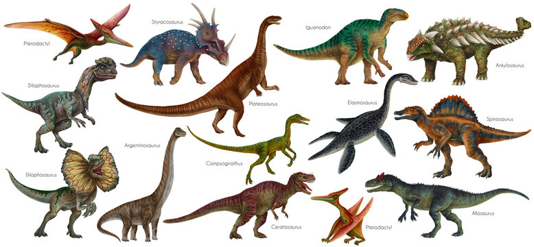 Dinosaur set. Dino illustration. Carnivores and herbivores. Allosaurus, Elasmosaurus, Compsognathus, Iguanodon, Plateosaurus, Spinosaurus, Pterodactyl, Ankylosaurus