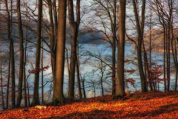 Jesień nad jeziorem