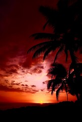 Hawaiian Sunset