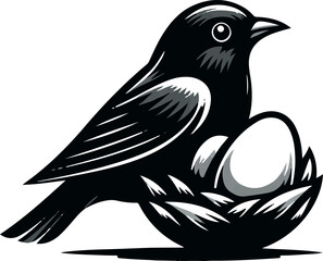 octopus illustration Vector  